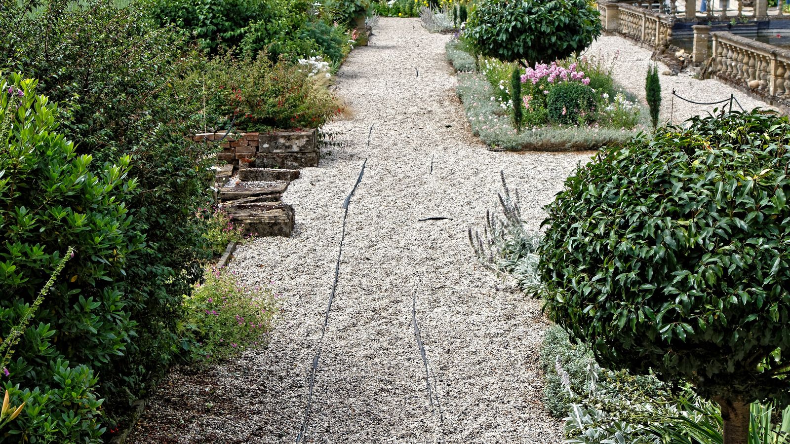 A finished garden with a white gravel path, clipped topiary and layered planting