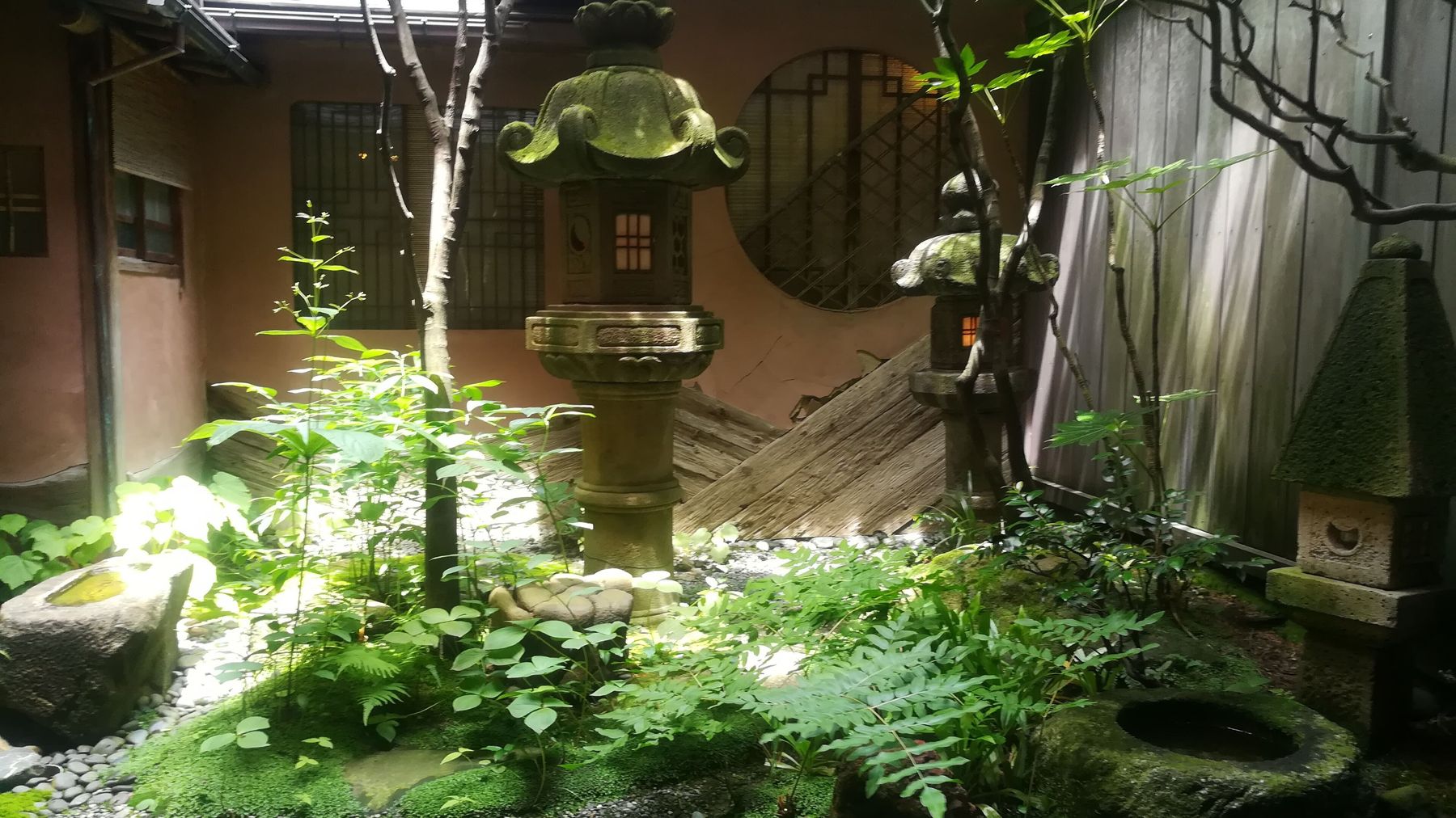 A shaded courtyard garden with a stone lantern, ferns and layered green planting
