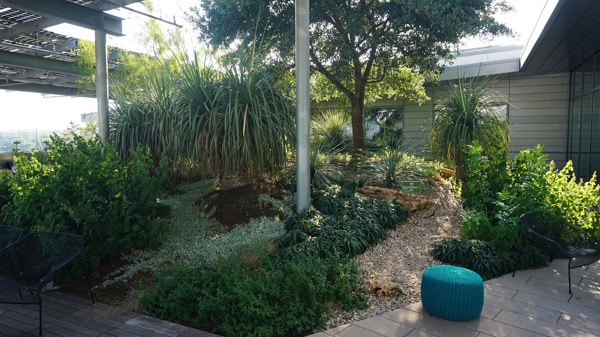 A shaded roof garden with a pergola, seating and layered planting