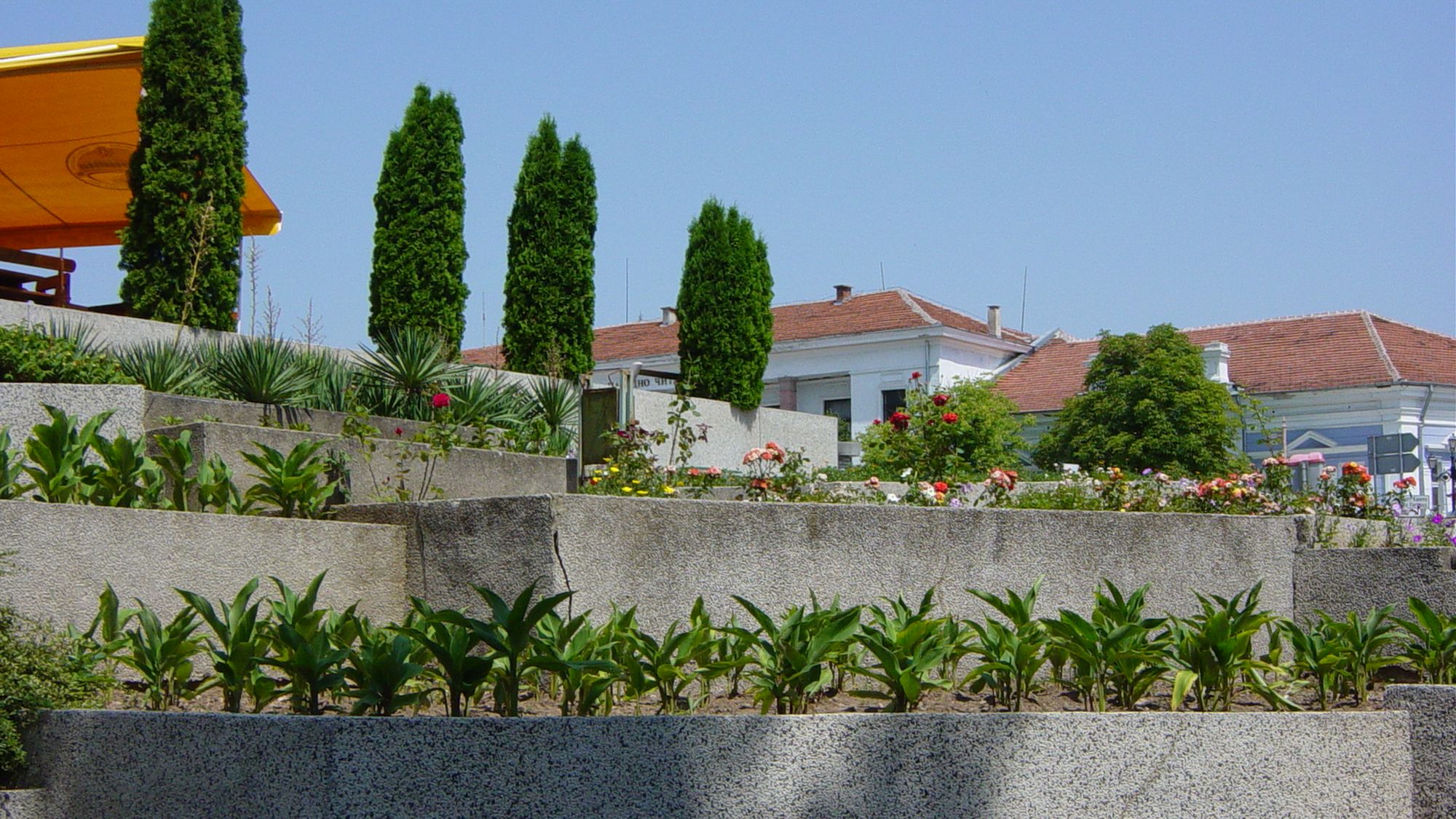 Stepped terraces with clipped planting above a villa wall